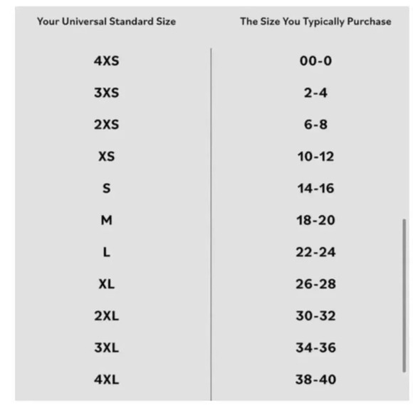 ERDEM X UNIVERSAL STANDARD Size M Kalina Short Sleeve Blue Floral Ruffle Top - Picture 9 of 9